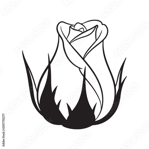 Foto Rosebud line art vector illustration with black outlines and sepals for floral d