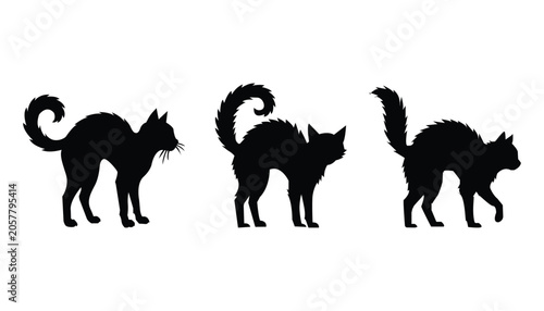 Schilderij op canvas Halloween scared black cat silhouette collection
