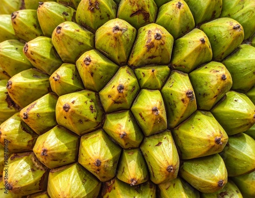 Macro shot of a jackfruit's bumpy green exterior showing intricate hexagonal pattern, abstract nature, detailed texture, tropical fruit, vibrant and fresh.