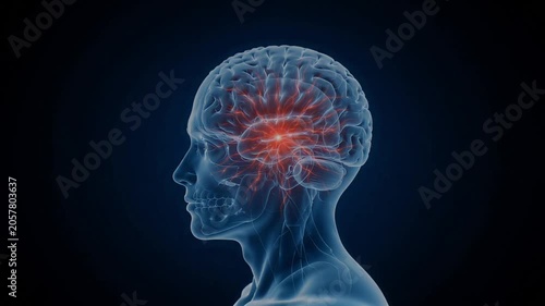 Human brain glowing with neural activity in a digital animation motion clip for medical research
