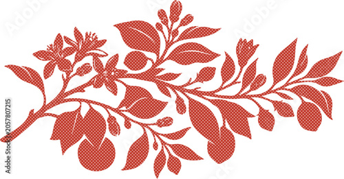 Foto Elegant orange-red citrus branch vector, botanical illustration with leaves, blossoms, and fruit