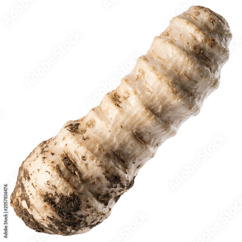 Horseradish isolated on a transparent background