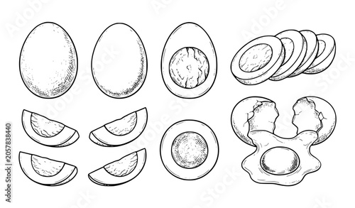 Sketch Egg Collection Boiled Half and Sliced Eggs Vector Illustration EPS 10