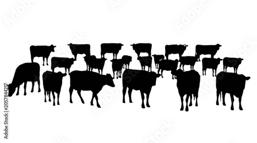 Foto Silhouettes of people sitting in rows at event chairs isolated on transparent ba