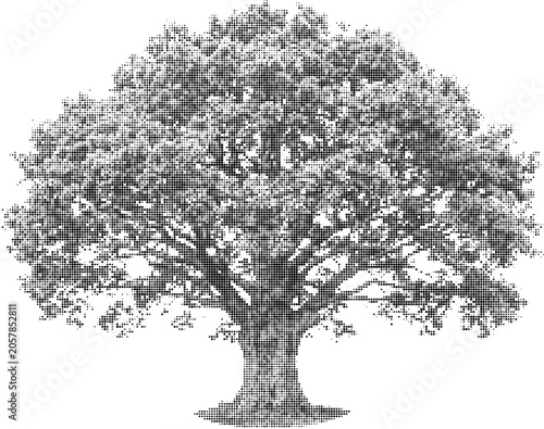 Obraz na plátně Large, dense oak tree in halftone style isolated on transparent background for naturalistic design applications