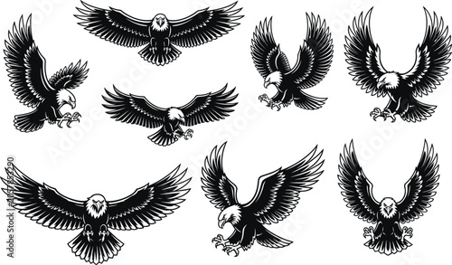 Schilderij op canvas Majestic bald eagle vector collection featuring aggressive flying poses and swoo