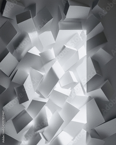 White Botanical Paper Frame Background