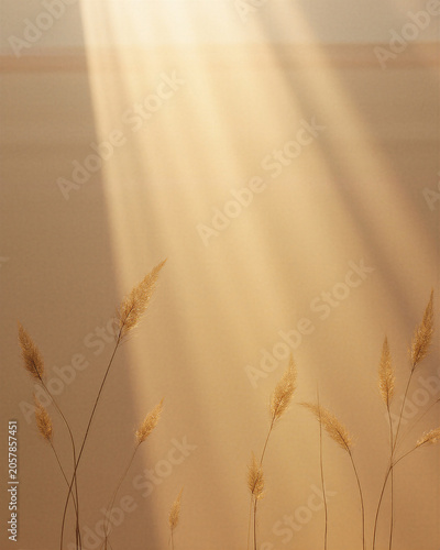 Golden Wheat Light Background
