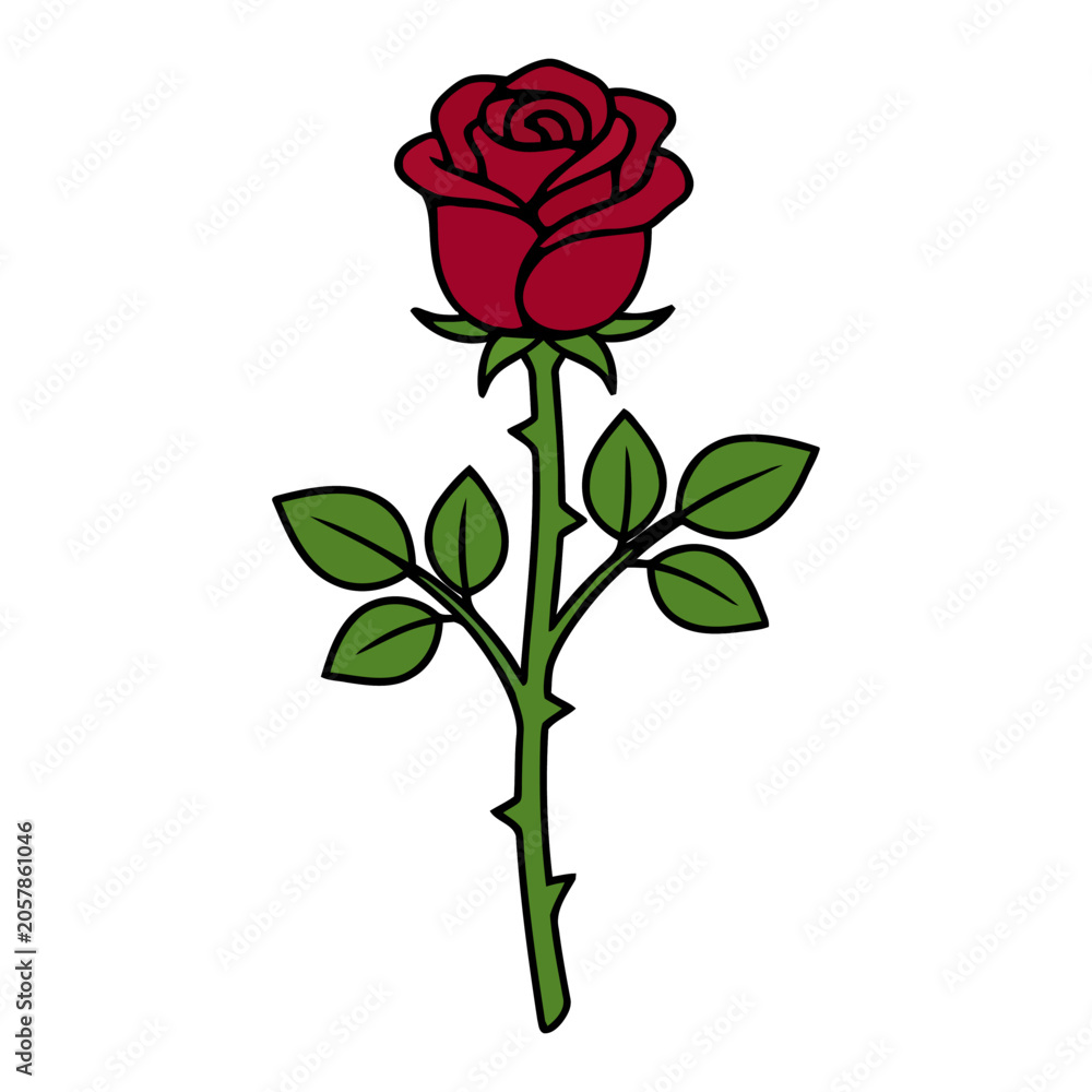 Fototapeta premium Full Upright Red Rose with Thorny Stem and Leaves