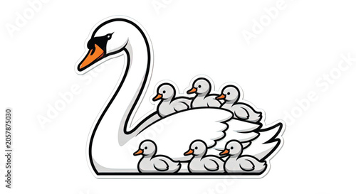 Mother Swan with Baby Cygnet Family.