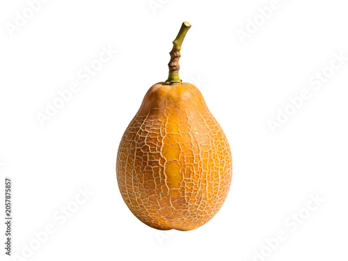 Close-up of a ripe melon with textured skin, curved stem, and vibrant orange color isolated on a black background, emphasizing fruit surface and detailed pattern