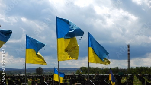 Принти на полотні View on blue-yellow flags at countless graves of ukrainian soldiers alley of glory in Kharkiv