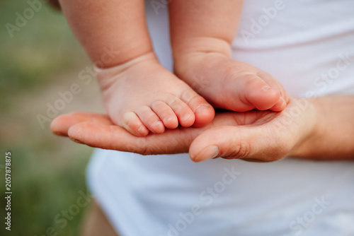 Obraz na plátně Tiny newborn baby feet resting gently on parents hands outdoors in soft sunlight