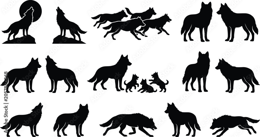 Fototapeta premium Black and white of various animals including wolf, fox, bear, and deer