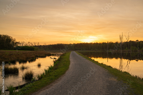 Mystic lake, Bottrop, North Rhine Westphalia, Germany