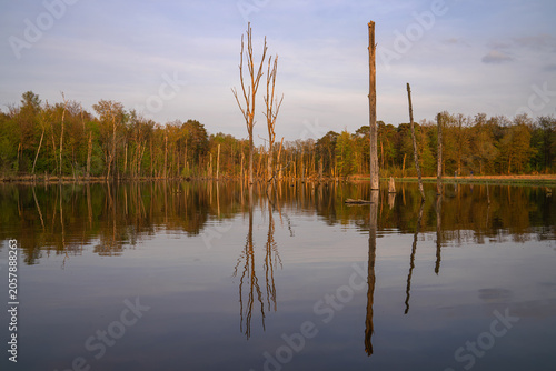 Mystic lake, Bottrop, North Rhine Westphalia, Germany