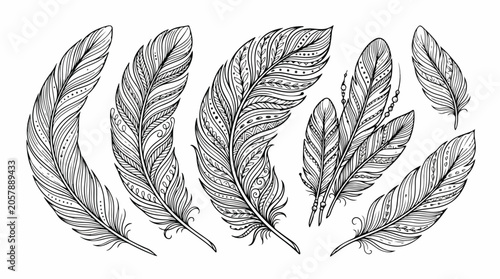 Intricate Boho Feather Doodle Set with Detailed Patterns