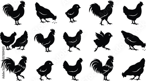 Obraz na płótnie Black and white of various birds in flight and perching bird silhouette bird bla