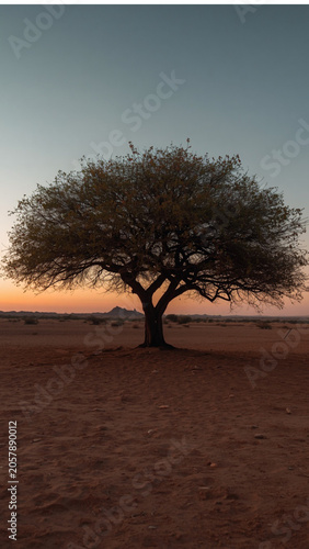 Lone Desert Tree at Twilight Horizon