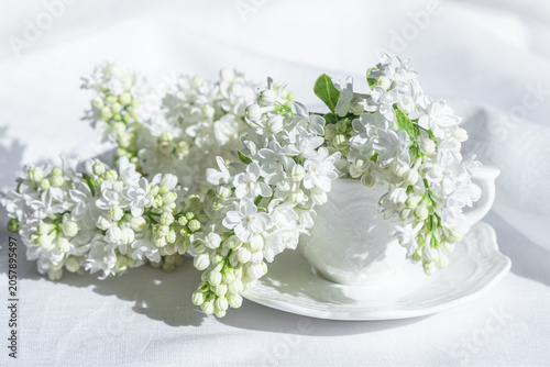 White lilac in a white teacup on a table on a sunny day