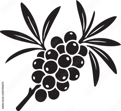 Black and white illustration of sea buckthorn berries on a branch a simple vector graphic for natural health and organic food concepts isolated on white