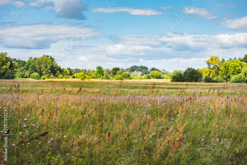 Fotografie lowland landscape with meadows of the vast Bug River valley in the lubelskie voi