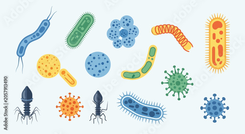 Photos Various types of bacteria and viruses.