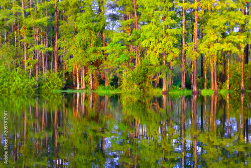 Bild auf Leinwand Six-Mile Cypress Slough Preserve, Lee County, Florida
