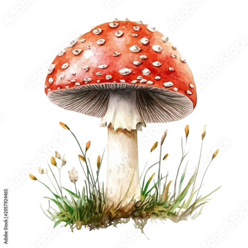 Fotografía Karjalanpiirakka, watercolor illustration, vector, isolated on a white background