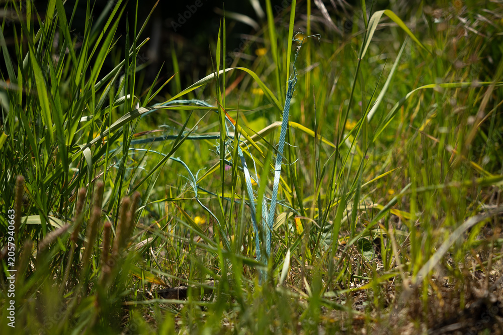 Obraz premium Litter on the ground, environmental pollution awareness. 