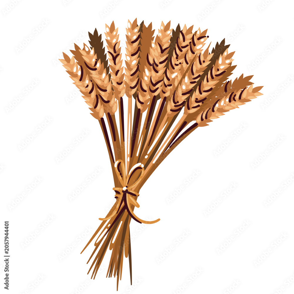 Fototapeta premium Wheat Sheaf with golden grain ears, tied stems, ribbon knot and harvest bundle shape. Farm crop decor with Wheat Sheaf, hand drawn naive vector illustration.