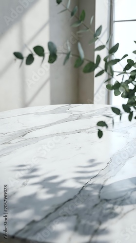 Eucalyptus Leaves on White Marble Table with Natural Window Light — Minimal Interior Styling