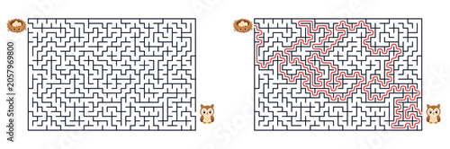 Help the owl reach the nest maze puzzle with solution