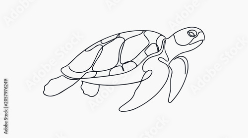 Sea Turtle Line Art: A stylized illustration of a sea turtle, depicted in a minimalist single line drawing, swimming gracefully through the water.