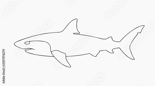 Shark Outline: A simple line drawing of a shark, showcasing its distinct silhouette and powerful form, perfect for design elements or educational purposes.
