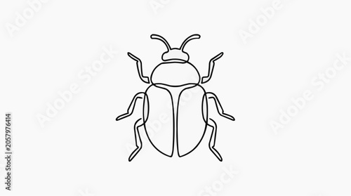 Bug Illustration: A simple, clean line drawing of a beetle, showcasing its segmented body, antennae, and legs.