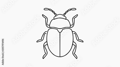 A Simple Bug Illustration: A minimalist outline drawing of a beetle, showcasing its distinct body segments and six legs.