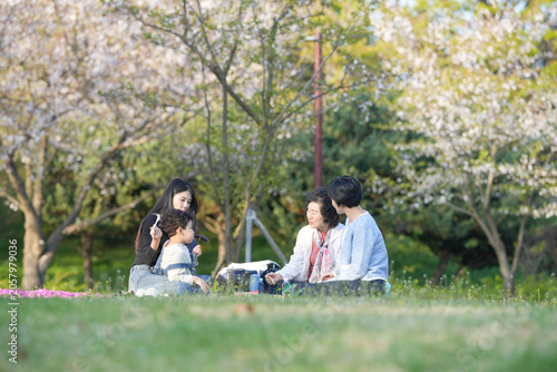 Фотография Young couple sits on grass beneath blooming trees