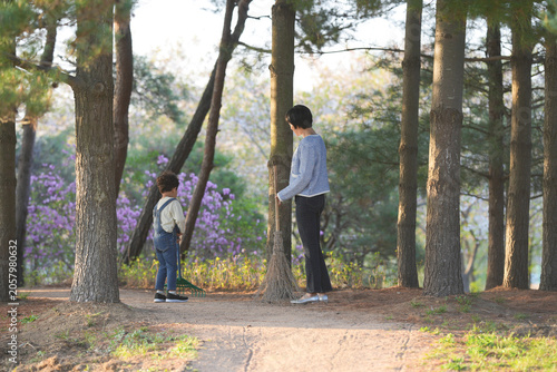 Soft sunlight filters through tall pine trees. Child stands near a parent, both quietly observing nature. Purple blooms add color to the forest background. The scene feels calm, intimate, and peaceful