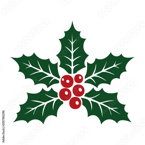 Holly leaf with red berries vector illustration