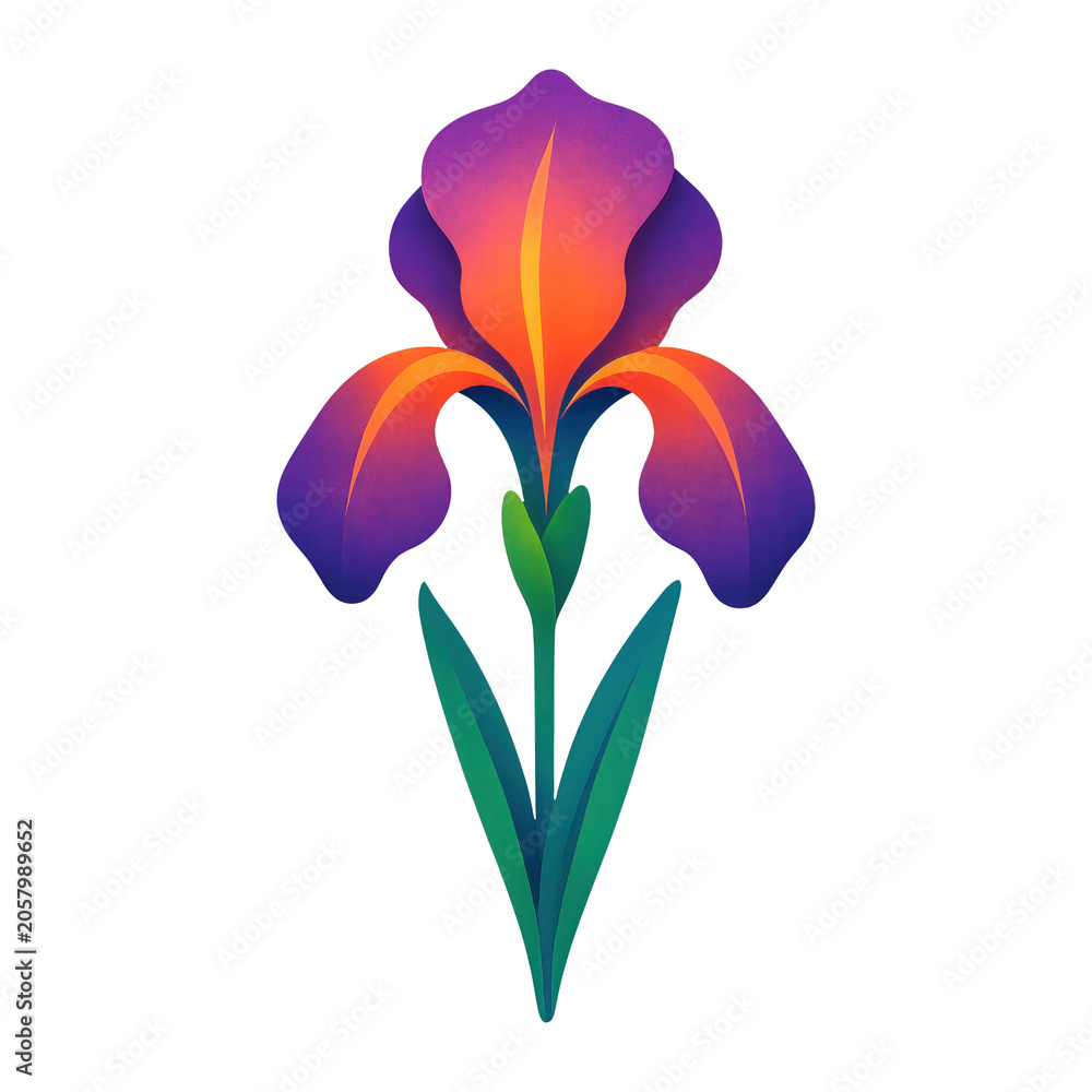 Obraz premium PNG Vibrant iris flower illustration