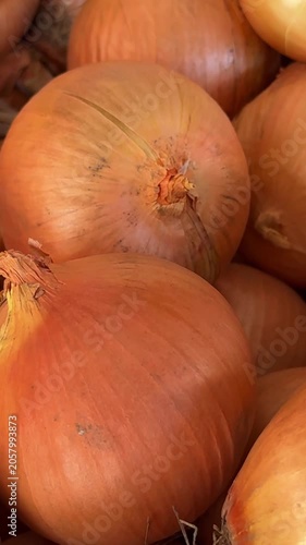 Man picking onion bulbs from heap on bazaar counter with authentic organic vegetable texture and healthy seasonal farm produce presentation close up.