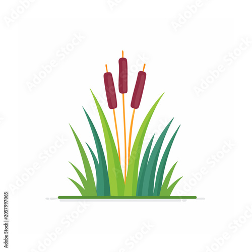 Set of colorful paintbrushes isolated
