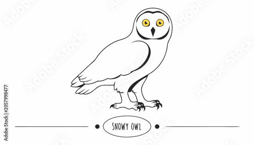 Εκτύπωση καμβά Very beautiful SNOWY OWL with bright white feathers, piercing yellow eyes, and a decorative species label reading SNOWY OWL, isolated on white background