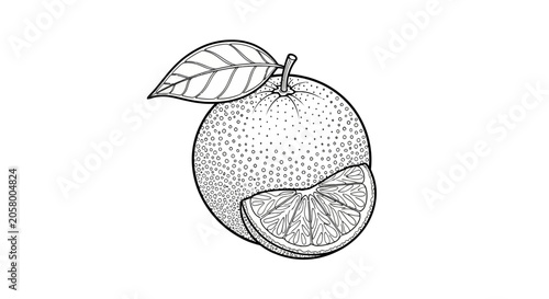 Fresh Cut Orange Fruit Half Slices.