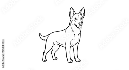German Shepherd Dog Standing Alone.