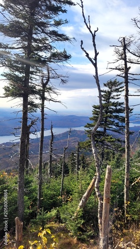 Mountain view of autumn forest valley and lake framed by pine trees under cloudy sky with sun rays