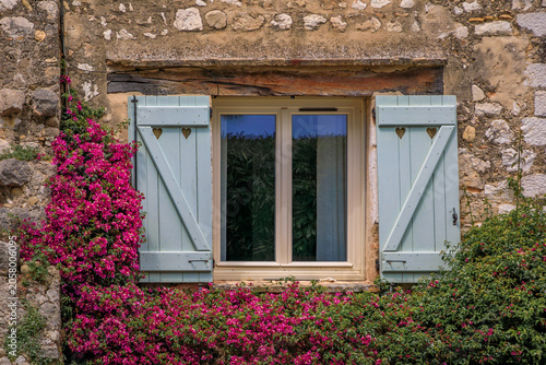 Fotografie Bougainvilia and jasmine on an old window, Saint Paul de Vence, South of France