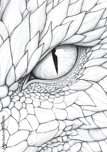 Slika na platnu Detailed black and white dragon eye drawing with slit pupil surrounded by intric