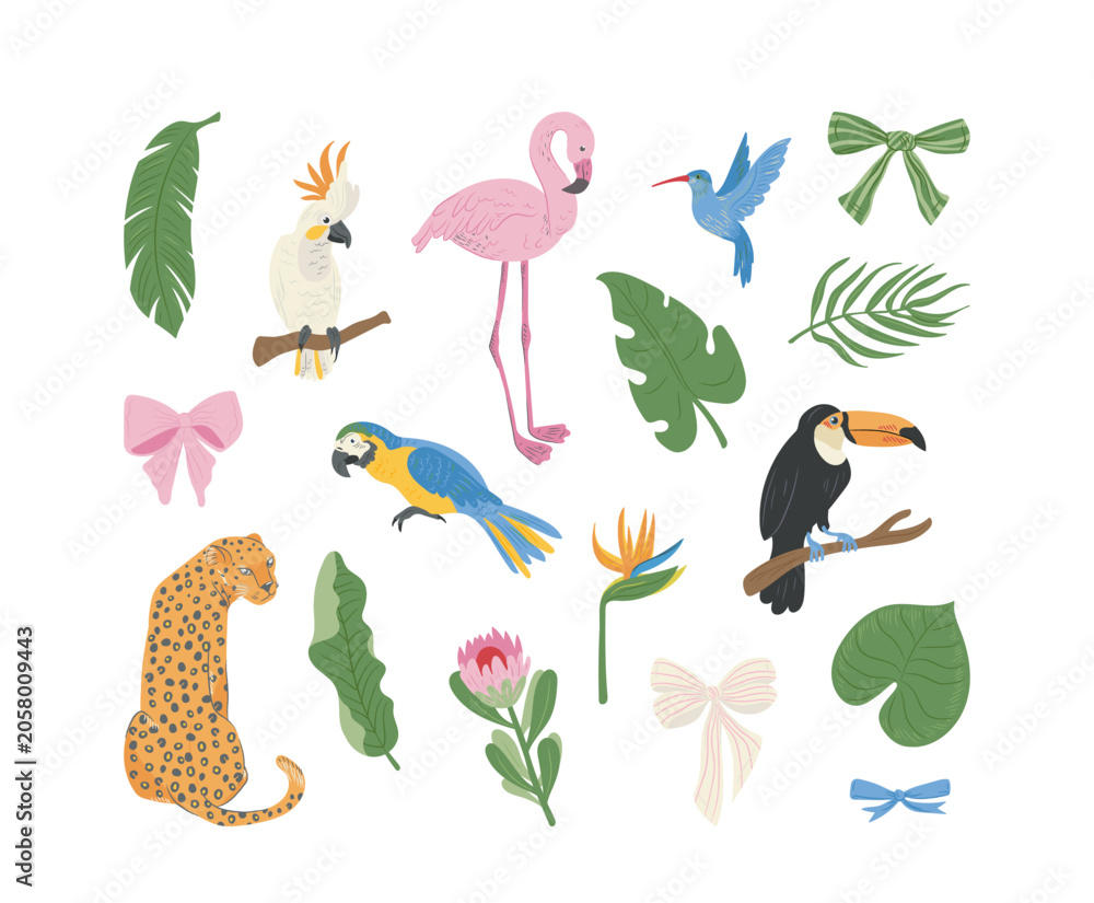 Fototapeta premium Tropical Wedding Elements Boho Cartoon